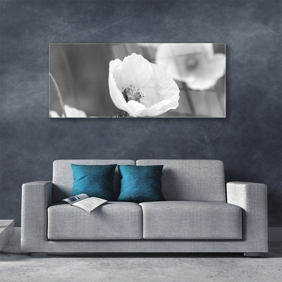 Glass Wall Art Poppies floral grey