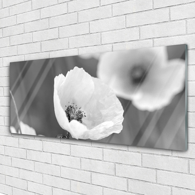 Glass Wall Art Poppies floral grey