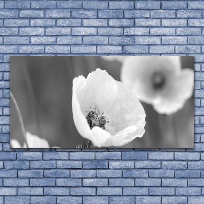 Glass Wall Art Poppies floral grey