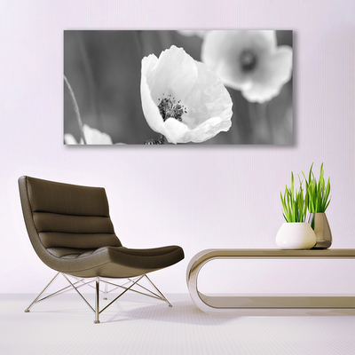 Glass Wall Art Poppies floral grey