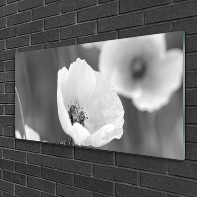 Glass Wall Art Poppies floral grey