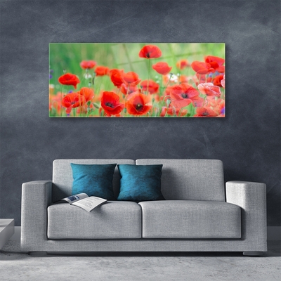 Glass Wall Art Poppies floral red black