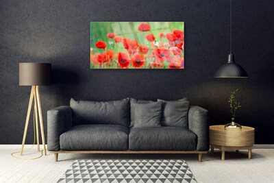 Glass Wall Art Poppies floral red black
