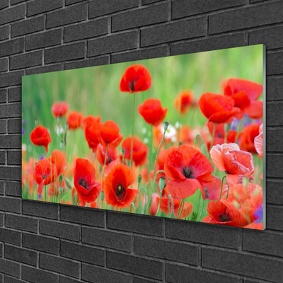 Glass Wall Art Poppies floral red black