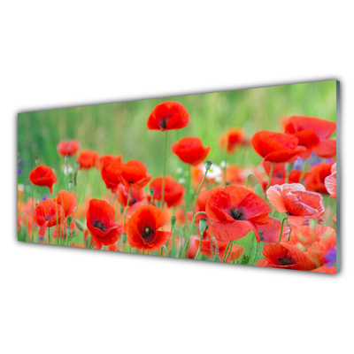 Glass Wall Art Poppies floral red black