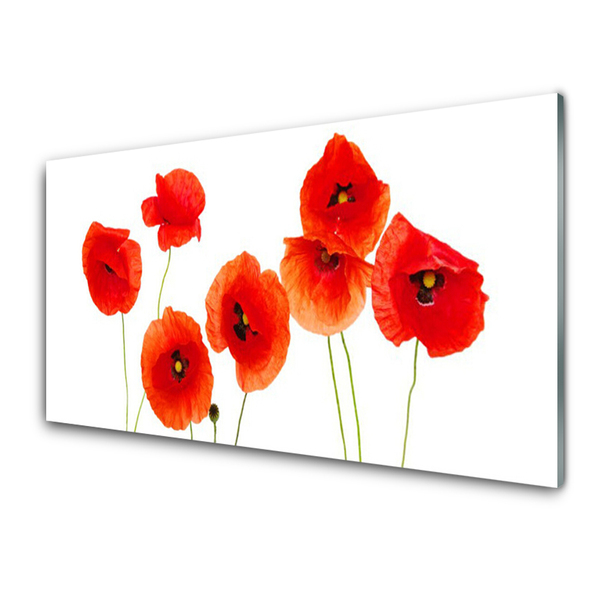 Glass Wall Art Poppies floral red black