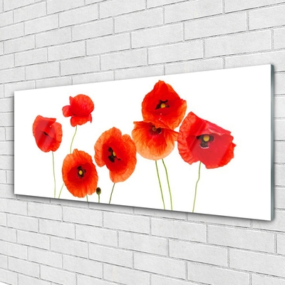 Glass Wall Art Poppies floral red black