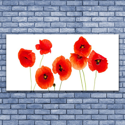 Glass Wall Art Poppies floral red black