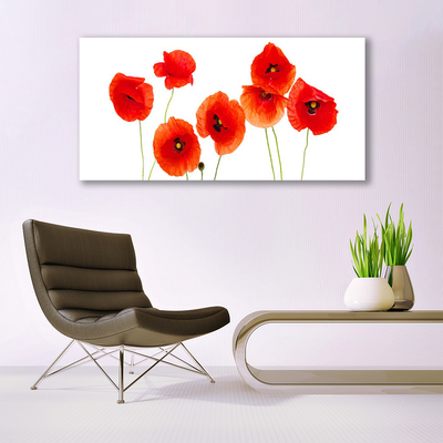 Glass Wall Art Poppies floral red black