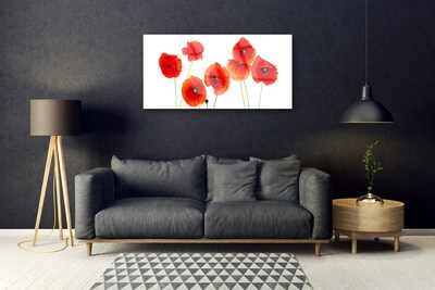 Glass Wall Art Poppies floral red black