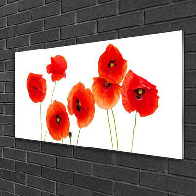 Glass Wall Art Poppies floral red black