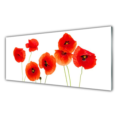 Glass Wall Art Poppies floral red black