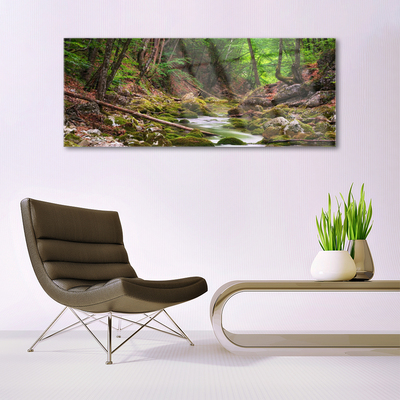 Glass Wall Art Forest nature brown green