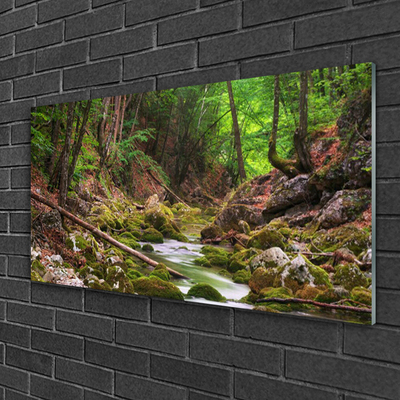 Glass Wall Art Forest nature brown green