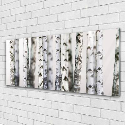 Glass Wall Art Trees nature black white