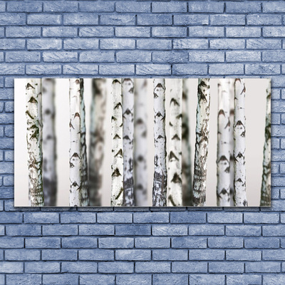 Glass Wall Art Trees nature black white