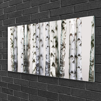 Glass Wall Art Trees nature black white