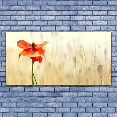 Glass Wall Art Poppy floral red green