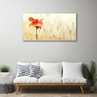 Glass Wall Art Poppy floral red green