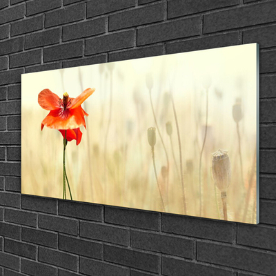 Glass Wall Art Poppy floral red green