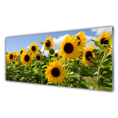 Glass Wall Art Sunflowers floral brown yellow green