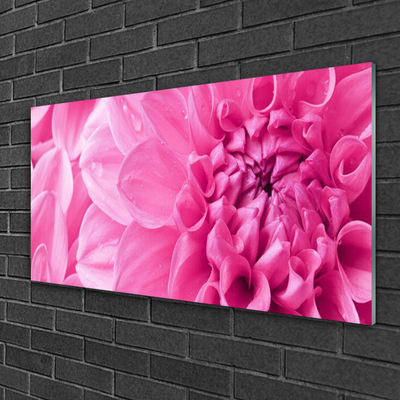 Glass Wall Art Flowers floral pink