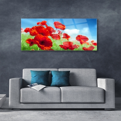 Glass Wall Art Poppies floral red