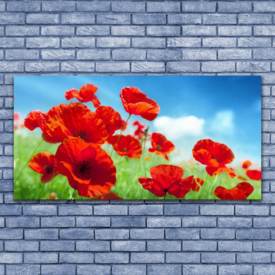 Glass Wall Art Poppies floral red
