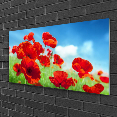 Glass Wall Art Poppies floral red