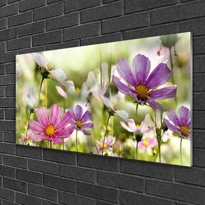 Glass Wall Art Flowers nature pink yellow green