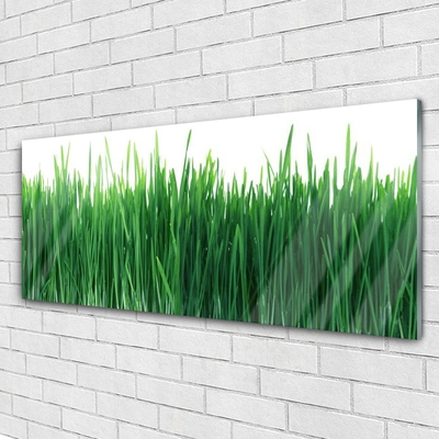 Glass Wall Art Weed nature green