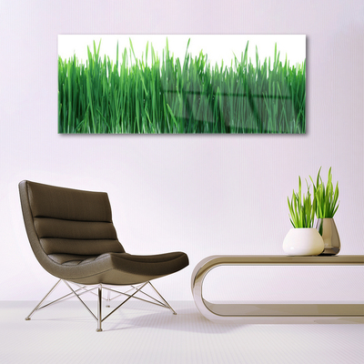 Glass Wall Art Weed nature green