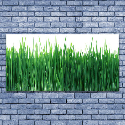 Glass Wall Art Weed nature green