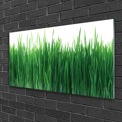 Glass Wall Art Weed nature green