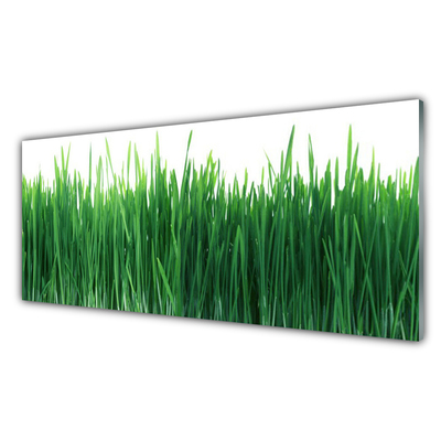 Glass Wall Art Weed nature green