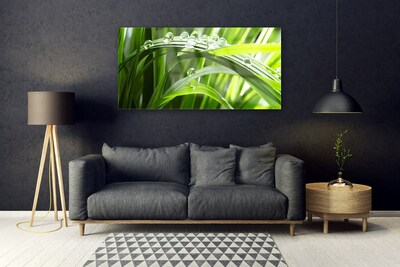 Glass Wall Art Grass water drops nature green