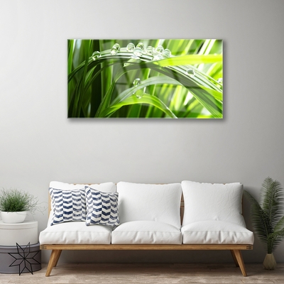 Glass Wall Art Grass water drops nature green