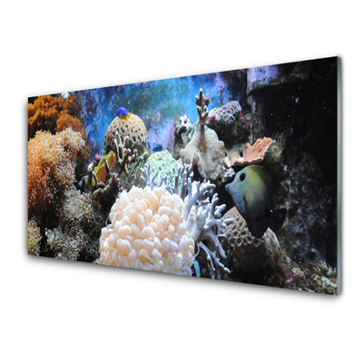 Glass Wall Art Coral reef nature grey white yellow
