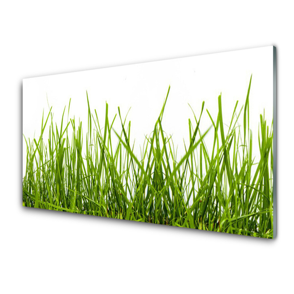 Glass Wall Art Grass nature green