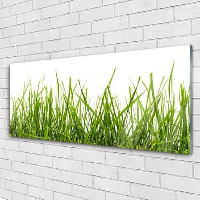 Glass Wall Art Grass nature green