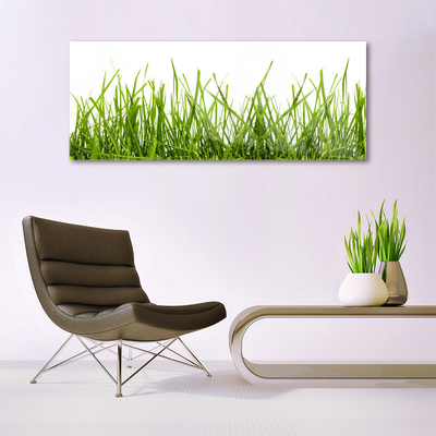 Glass Wall Art Grass nature green