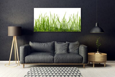 Glass Wall Art Grass nature green