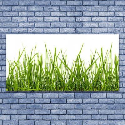 Glass Wall Art Grass nature green