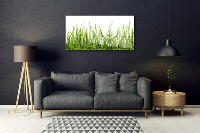 Glass Wall Art Grass nature green