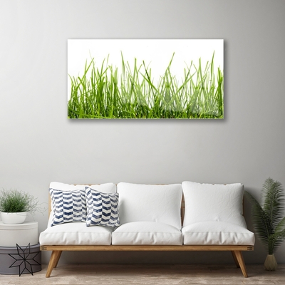 Glass Wall Art Grass nature green