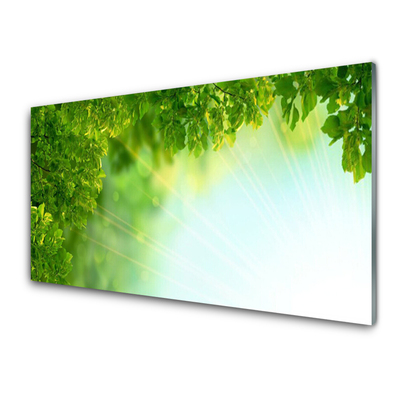 Glass Wall Art Leaves nature green