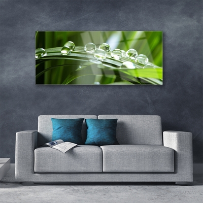 Glass Wall Art Grass dew drops floral green