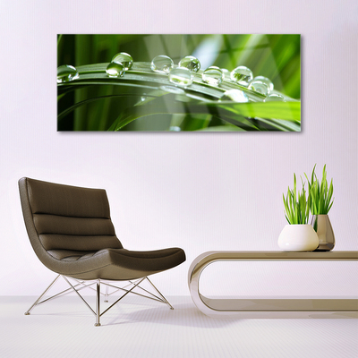 Glass Wall Art Grass dew drops floral green