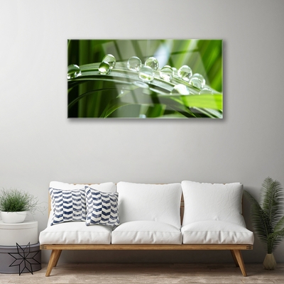 Glass Wall Art Grass dew drops floral green