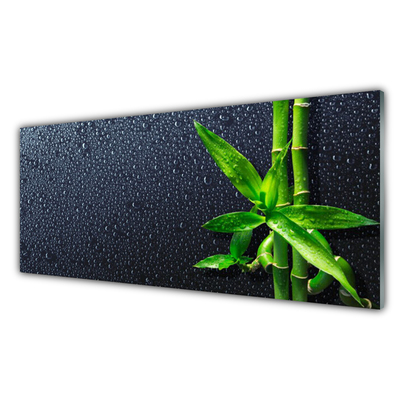 Glass Wall Art Bamboo stalks floral green